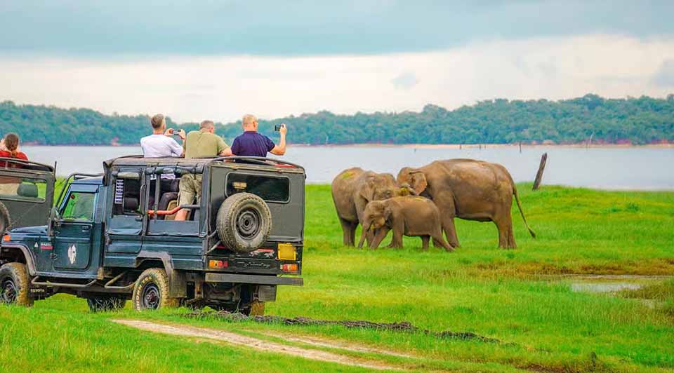 Habarana Jeep Safari